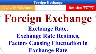 Concept of Foreign Exchange Factors affecting exchange rate Currency banking and Exchange bcom [upl. by Anelrihs591]