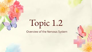 NEW AP Psychology 2024 Unit 12 Summary [upl. by Odrautse663]