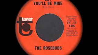 The Rosebuds  Say Youll Be Mine [upl. by Samantha]