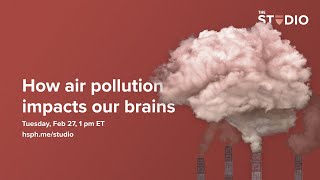 How air pollution impacts our brains [upl. by Namie]