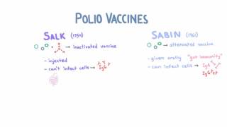 Polio Vaccines  Salk vs Sabin [upl. by Noskcaj]