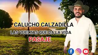 LAS VUELTAS QUE DA LA VIDA LyM CALUCHO CALZADILLA música llanera venezolana joropo [upl. by Tterraj]