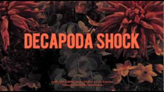 Decapoda Shock Teaser 2 [upl. by Otiragram478]