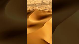 Merzouga The Saharas Golden Oasis [upl. by Woody]