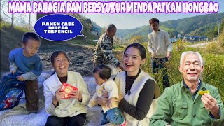 BANTU PEYA DIKEBUN DESA LALU PETIK CABAI DAN BERI HONGBAO KE MAMA DAN VEIVEI [upl. by Woo577]