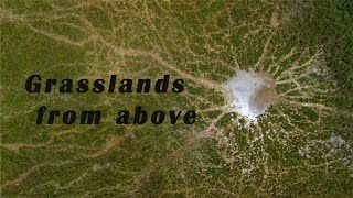 A Glimpse of eastern marshlands  short aerials [upl. by Evalyn]