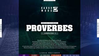 « Proverbes » LAncien Testament  La Bible Du Semeur audio VF Complète [upl. by Casi100]