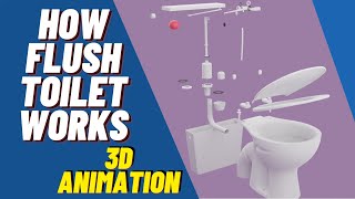 How Flush Toilet Works  3D Animation  Siphon [upl. by Shelman]