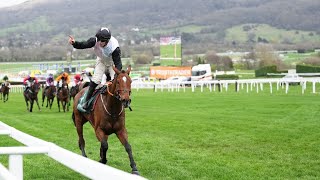 TEAHUPOO batters bookies with Stayers Hurdle glory [upl. by Sisson992]