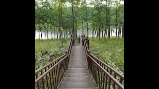 Cuivre River State Park August 4 2018 [upl. by Porett]