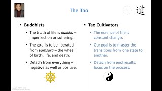 On Suffering Buddhist Vs Tao Cultivator [upl. by Ahsienot981]