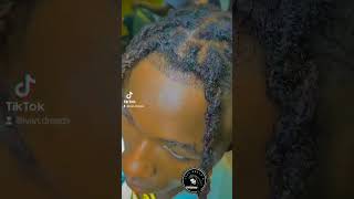 Lamella Dreadlocks hairstyle dreadlocks [upl. by Ikkela]