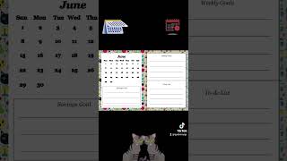 2025 Cat CalendarPlanner [upl. by Ddej605]