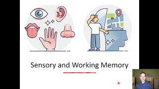 Sensory and Working Memory [upl. by Yelahs]