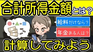 合計所得金額とは？わかりやすく解説。計算方法は？自分の合計所得はいくら？ [upl. by Troy]