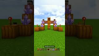 Minecraft Spawing Pumpkin Golem And Copper Golem 😨 Insane shorts minecraft [upl. by Christel216]