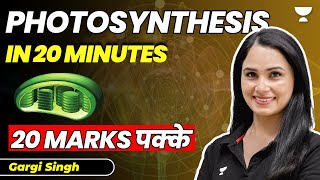 Photosynthesis in 20 minutes  20 marks pakke  Biology  NEET 2023  Gargi Singh [upl. by Eire]