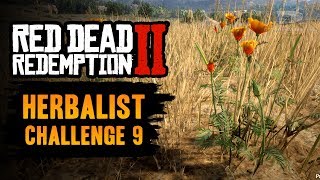 Red Dead Redemption 2 Herbalist Challenge 9 Guide  Pick one of each species of herb [upl. by Wonacott]