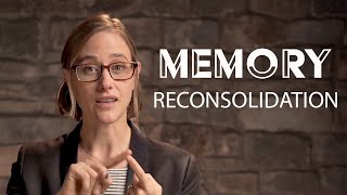 Memory Reconsolidation How to Rewire Our Brain  Chapter 4 [upl. by Relluf494]