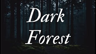 Dark Forest Ambient [upl. by Atwood]