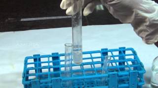 Chemical Tests for Carbonate  MeitY OLabs [upl. by Kataway195]