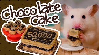 🍫 HamsterSafe Chocolate Cake  HAMSTER KITCHEN 🍫 [upl. by Edak]