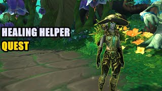 Healing Helper Quest WoW [upl. by Martica]