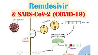 Remdesivir amp SARSCoV2 COVID19  Mechanism of Action Adverse Effects AntiViral Properties [upl. by Ahtekahs]