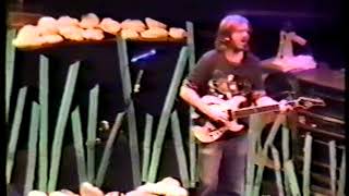 Phish 19931229  New Haven CT pt1 [upl. by Evangelin14]