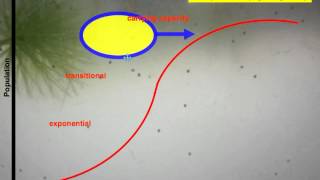 26 13 Population Growth PatternsS and J shaped curveslimiting factors [upl. by Alber]