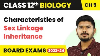 Characteristics of Sex Linkage Inheritance  Principles of Inheritance and Variation  Class 12 [upl. by Mitzi]