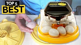 ✅ TOP 5 Best Egg Incubator you must own [upl. by Tallu]