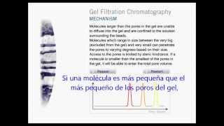 Cromatografía de Filtración en Gel [upl. by Aihsercal62]