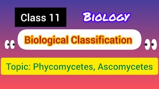 Class 11  Biological Classification TopicPhycomycetes Ascomycetes ncert [upl. by Eirrem]