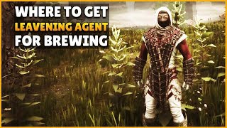 Leavening Agent  Conan Exiles [upl. by Aruasi776]