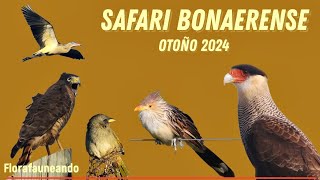 Safari Bonaerense otoño 2024 [upl. by Joya777]