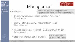 B02 Acute Cholangitis [upl. by Laird]