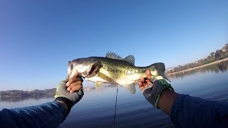 Fall bass fishing at Puddingstone Lake [upl. by Largent991]