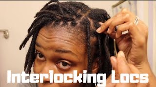 InterlockingLocs How I Interlock My Locs  Retightening Traditional Locs [upl. by Ayita]