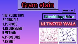 Gram stain in Hindi  microbiology Notes  principle of staining [upl. by Arabela]