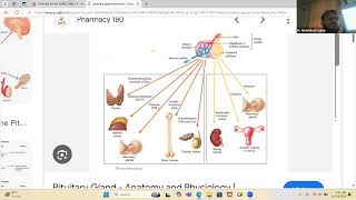 Endocrine Physiology First Aid USMLE Step 1 [upl. by Semadar]