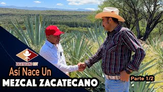 AGAVES OAXAQUEÑOS NOS DARÁN Mezcal Zacatecano [upl. by Keithley953]