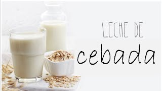 Leche de cebada casera [upl. by Essilec]