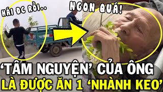 Biết mình sắp MẤT cụ ông nhờ cháu HÁI NHÀNH CÂY để ăn nguyên nhân nghe ĐAU LÒNG  Gen Z Review [upl. by Brnaby191]