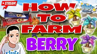 HOW TO FARM BERRY IN FLYFF UNIVERSE [upl. by Ilyse640]