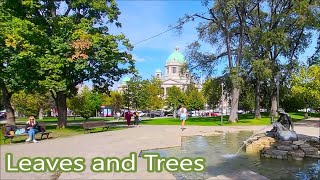 Central Belgrade park near the parliament Pine trees and at the end you will see a cute squirrel [upl. by Nnayt]