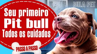 Dicas de como cuidar de filhote de Pitbull pela PRIMEIRA VEZ  PIT BULL [upl. by Aneeg]