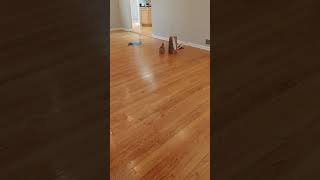 ✅ How to Remove Wax Buildup from your Hardwood Floors  Livingston NJ [upl. by O'Doneven654]