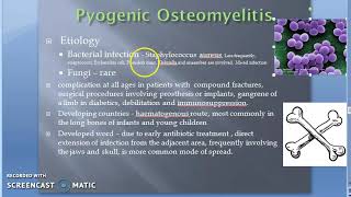 Pathology 825 c Osteomyelitis Infection Of Bone Staph Aureus Amyloidosis [upl. by Carson747]