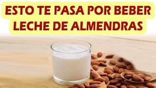 ESTO TE PASA POR BEBER LECHE DE ALMENDRAS Propiedades y Beneficios De La Leche De Almendras [upl. by Cyrie138]